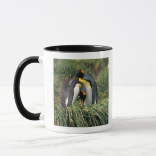 King penguins nuzzling mug
