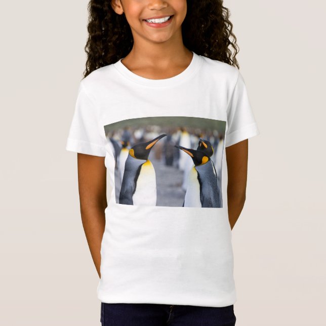 King Penguins T-Shirt (Front)