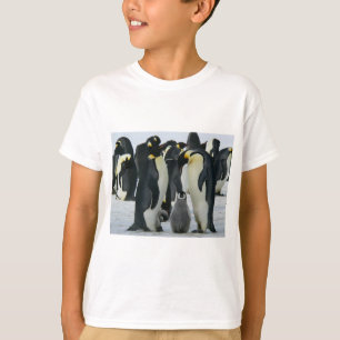 King Penguins T-Shirt