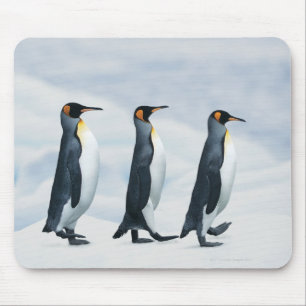 King Penguins walking in single file Mouse Pad