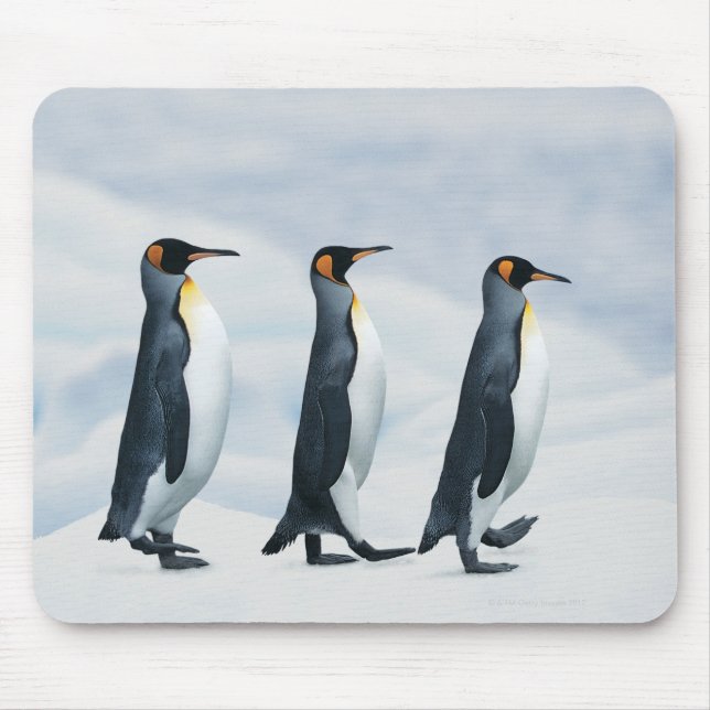 King Penguins walking in single file Mouse Pad (Front)