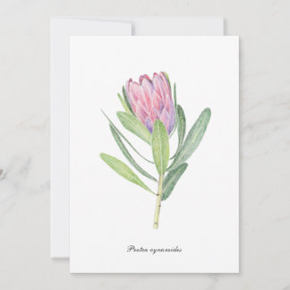 King Protea Invitation