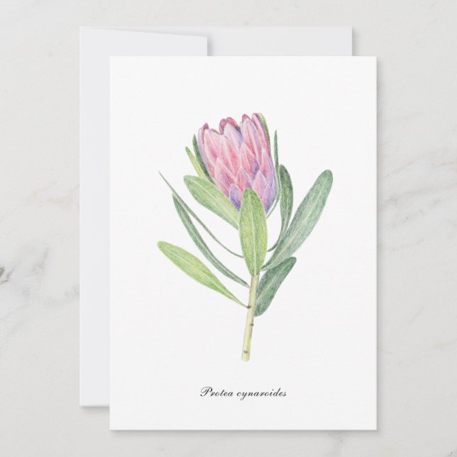 King Protea Invitation (Front)