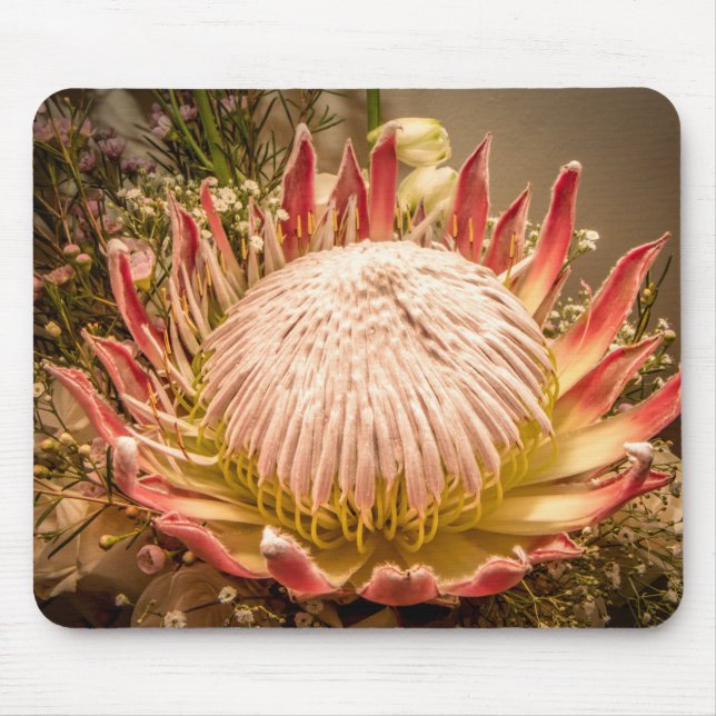 King Protea mousepad (Front)