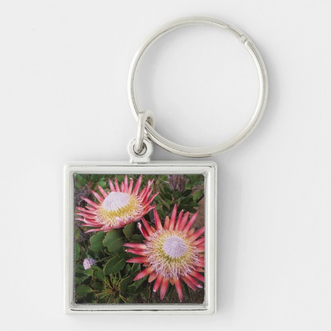 King Protea (Protea Cynaroides), Helderberg Key Ring (Front)