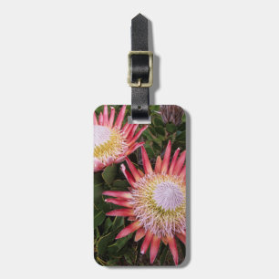King Protea (Protea Cynaroides), Helderberg Luggage Tag
