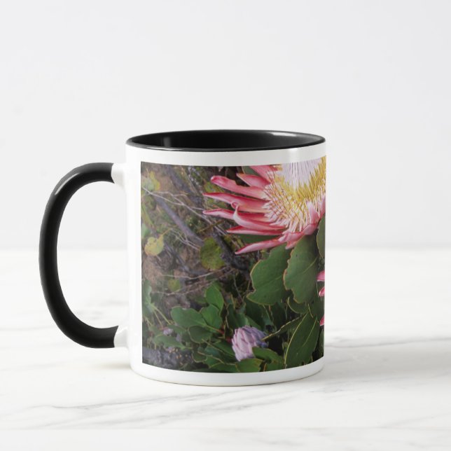 King Protea (Protea Cynaroides), Helderberg Mug (Left)