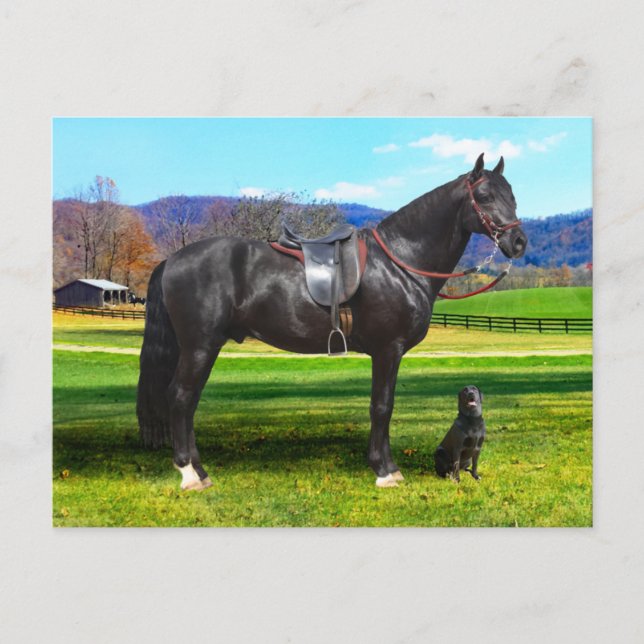 "King Richard" Postcard (Front)