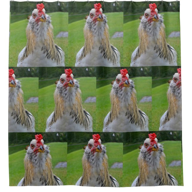 King Rooster Shower Curtain (Front)