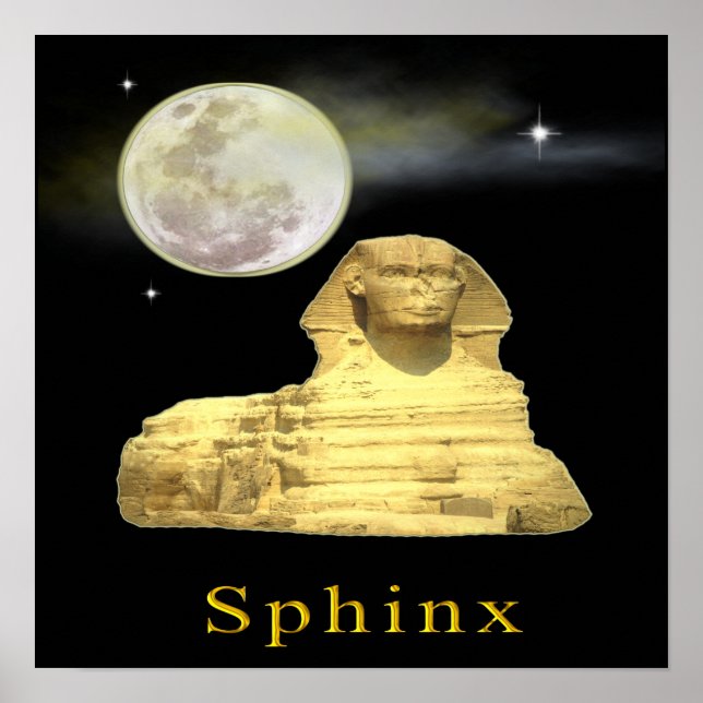 King Tut and Egypt Poster (Front)