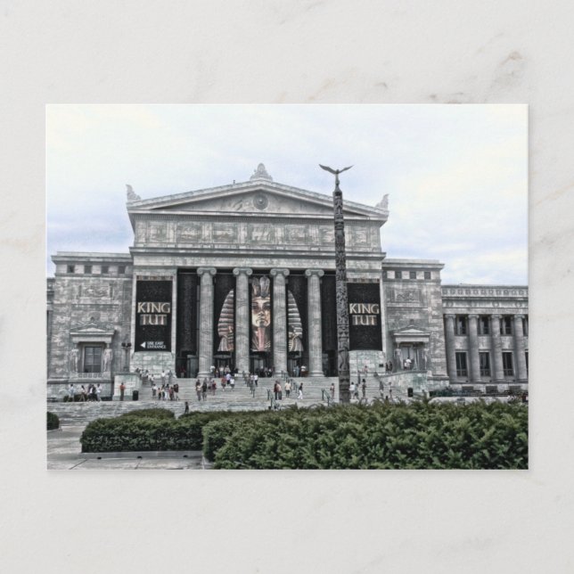 KING TUT Field Museum Postcard (Front)