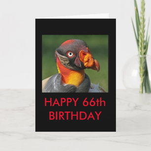 King Vulture - Happy 66th Birthday Card