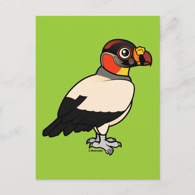 King Vulture Postcard (Front)