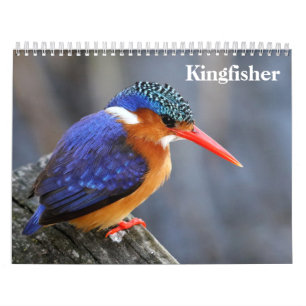Kingfisher 2026 calendar