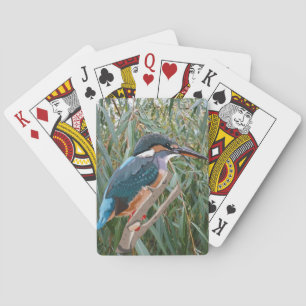 Kingfisher and Willow  Playing Cards
