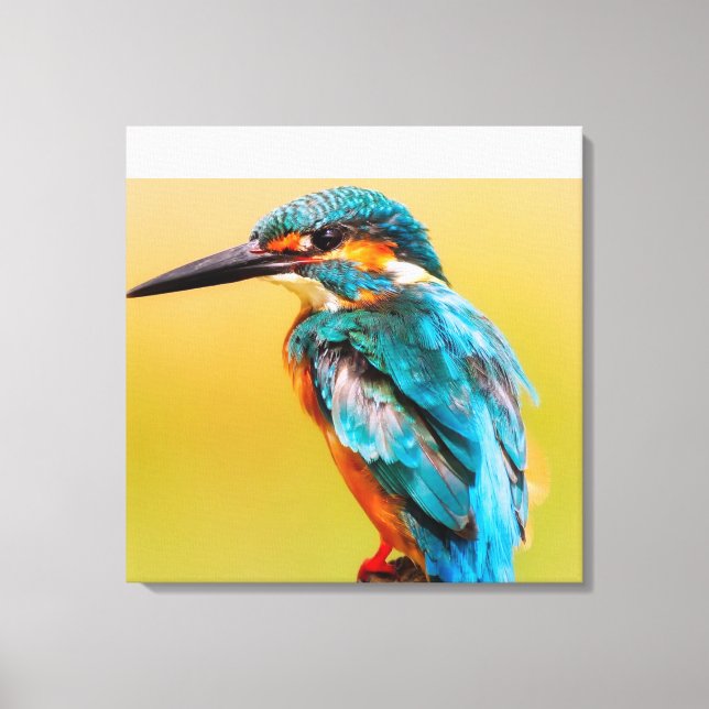 Kingfisher At Dawn  Canvas Print (Front)