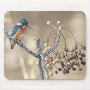 Kingfisher at Hula Reserve Mouse Pad