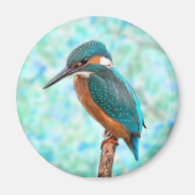 Kingfisher Bird Blue Abstract Magnet (Front)