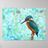 Kingfisher Bird Blue Abstract