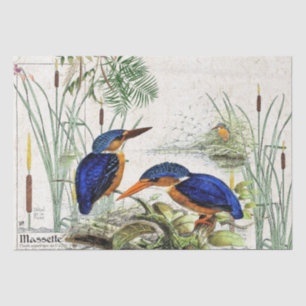 Kingfisher Bird Cattail Pond Wildlife Tissue Paper