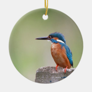 Kingfisher bird. ceramic tree decoration