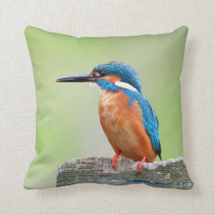 Kingfisher bird cushion