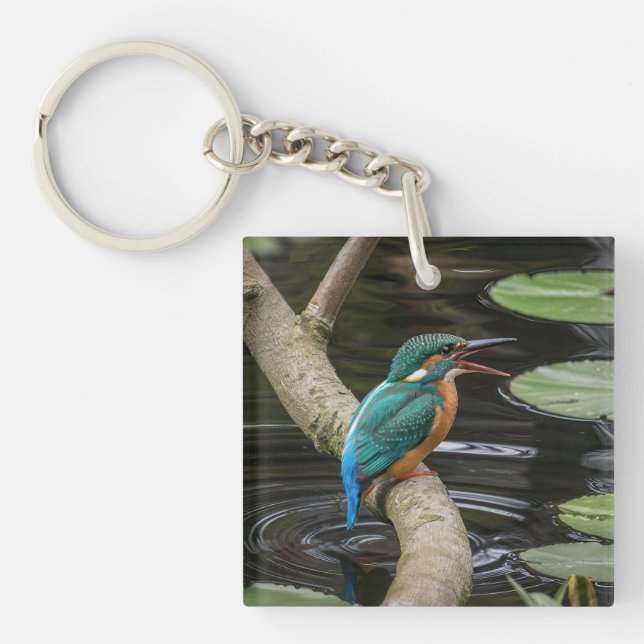 Kingfisher Bird Key Ring (Front)