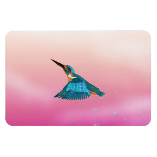 kingfisher Bird Magnet