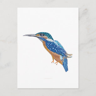 KingFisher Bird Postcard