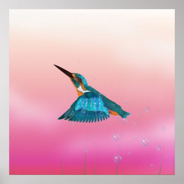 kingfisher Bird Poster (Front)