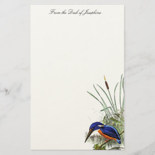 Kingfisher Bird Wildlife Wetlands Pond Stationery