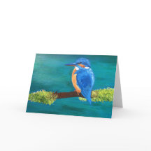 Kingfisher blank greeting card