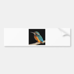 "Kingfisher" Bumper Sticker