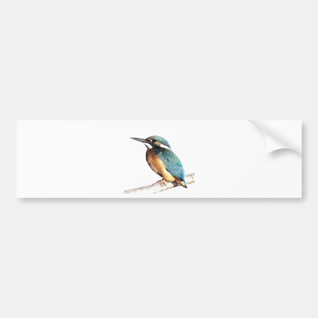 "Kingfisher" Bumper Sticker (Front)