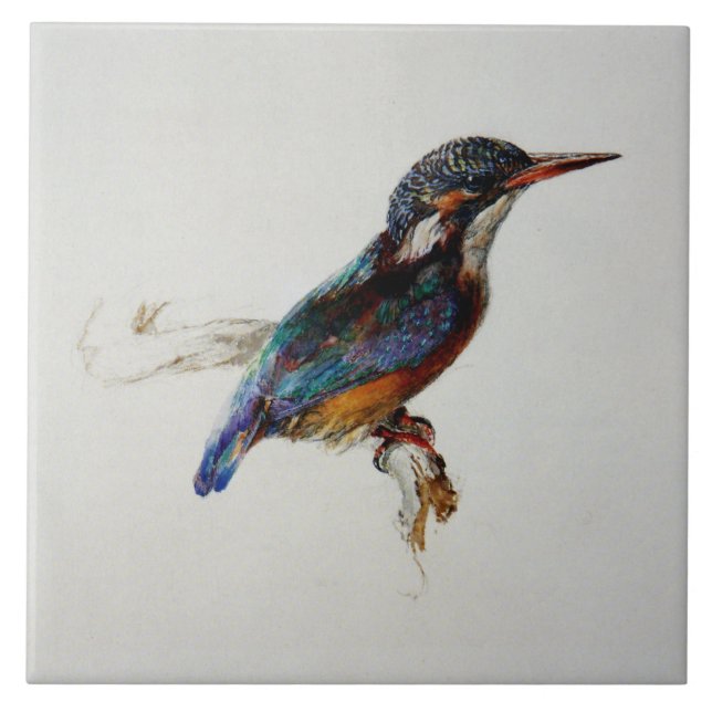 Kingfisher (by John Ruskin) Tile (Front)