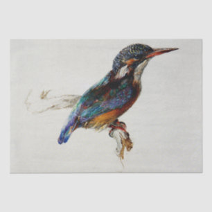 Kingfisher (by John Ruskin) Tissue Paper