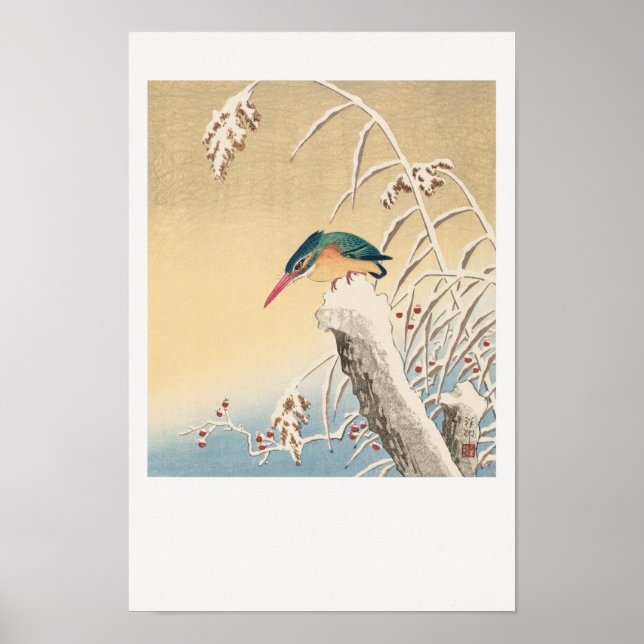 Kingfisher in the snow poster (Front)
