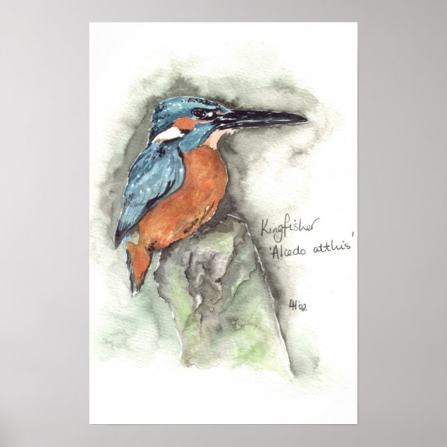 Kingfisher in watercolour poster (Front)