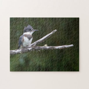 kingfisher jigsaw puzzle
