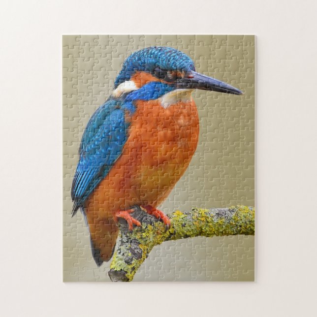 Kingfisher Jigsaw Puzzle (Vertical)