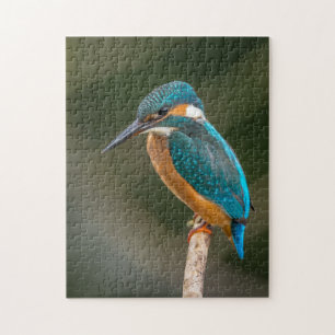 KIngfisher Jigsaw Puzzle