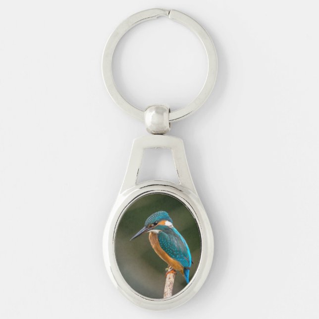 KIngfisher Key Ring (Front)