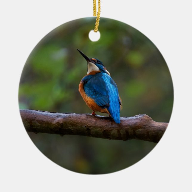 Kingfisher on a branch ceramic tree decoration (Front)