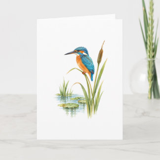 Kingfisher on a Reed by a Pond Card