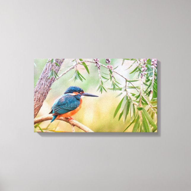 Kingfisher Perched on Branch Canvas Print (Front)