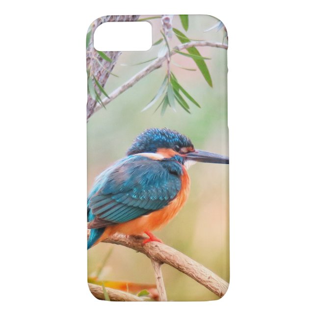 Kingfisher Perched on Branch Case-Mate iPhone Case (Back)
