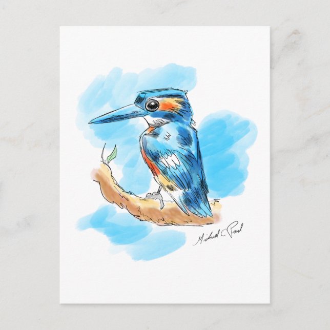 Kingfisher Postcard (Front)
