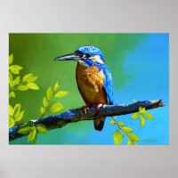 Kingfisher