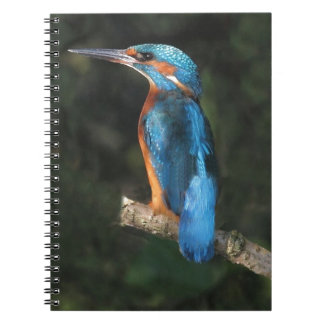 Kingfisher Spiral Notebook