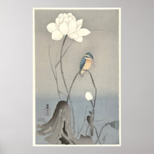 Kingfisher with Lotus Flower - Archival Print